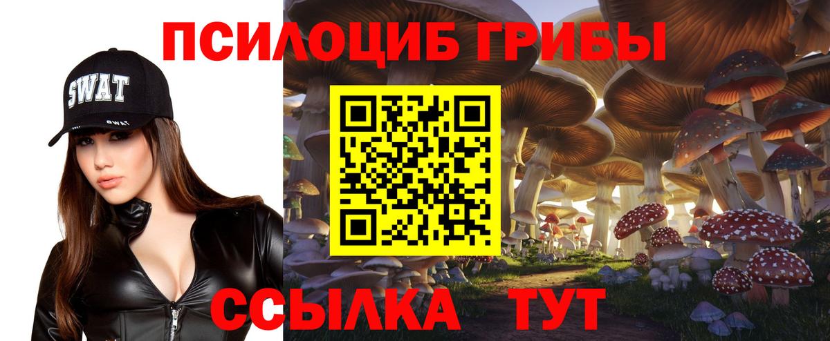 Галлюциногенные грибы Psilocybine cubensis Малгобек