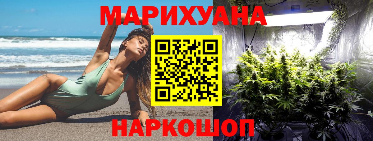 Канабис White Widow  Вход с VPN  Малгобек  Шишки марихуана Ganja 